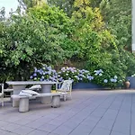 Quinta Souto Da Ordem - House Σπίτι διακοπών Castelo Novo