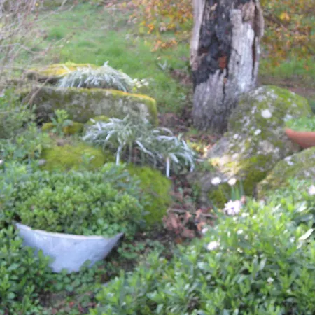 度假居 Quinta Souto Da Ordem - House