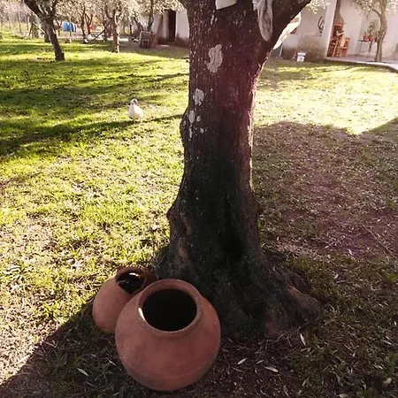 度假居 Quinta Souto Da Ordem - House *