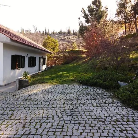 Quinta Souto Da Ordem - House *