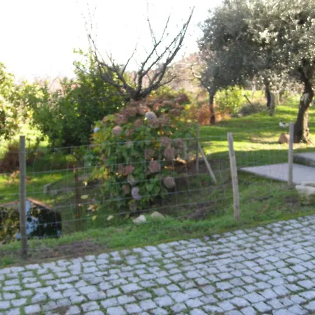 別荘 Quinta Souto Da Ordem - House