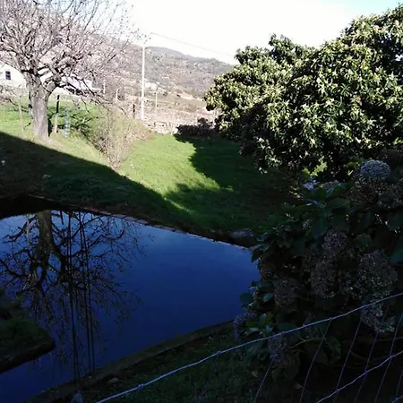 別荘 Quinta Souto Da Ordem - House