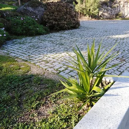 Quinta Souto Da Ordem - House Holiday home *