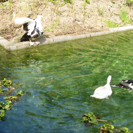 別荘 Quinta Souto Da Ordem - House カステロ・ノーヴォ
