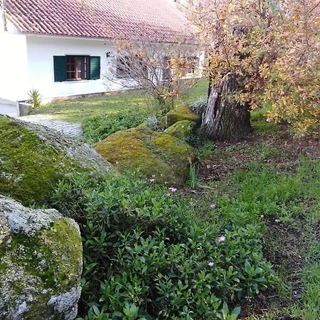 Quinta Souto Da Ordem - House 別荘