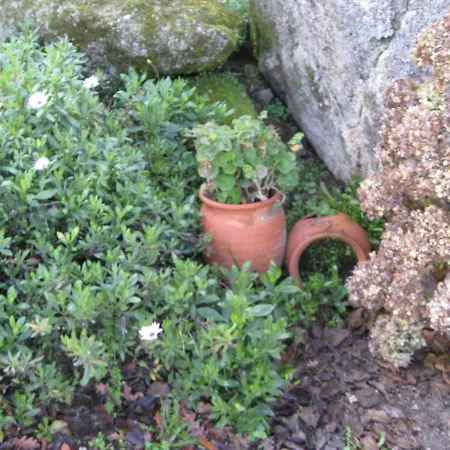 Quinta Souto Da Ordem - House 度假居 *