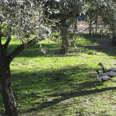 Quinta Souto Da Ordem - House Holiday home *