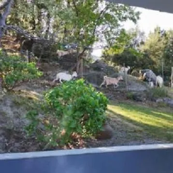 別荘 Quinta Souto Da Ordem - House