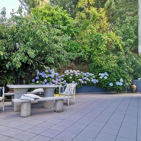 Quinta Souto Da Ordem - House Hébergement de vacances Castelo Novo