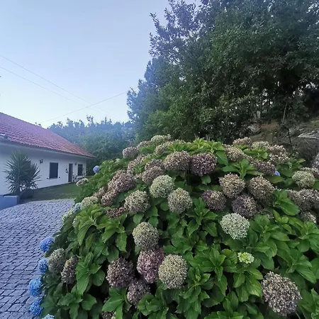 Quinta Souto Da Ordem - House * カステロ・ノーヴォ