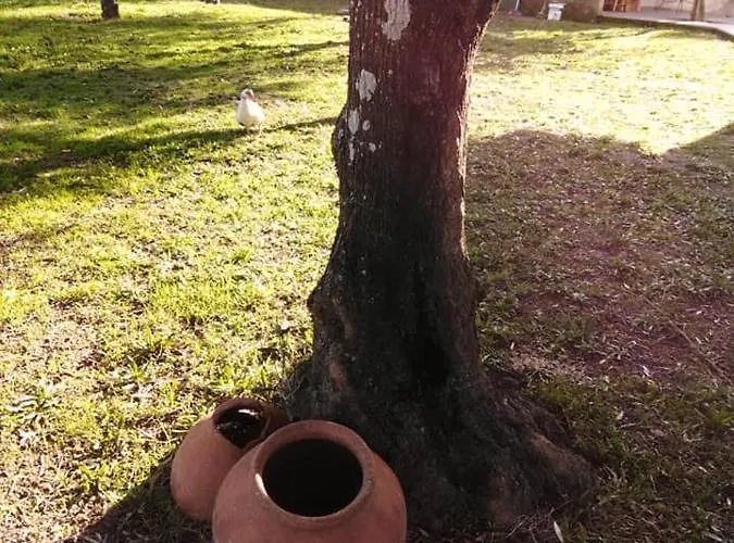 Nyaraló Quinta Souto Da Ordem - House *