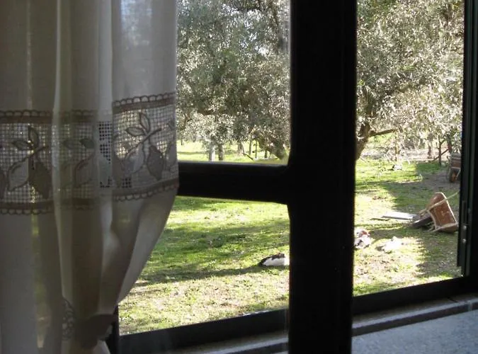 بيت للعطل Quinta Souto Da Ordem - House Castelo Novo