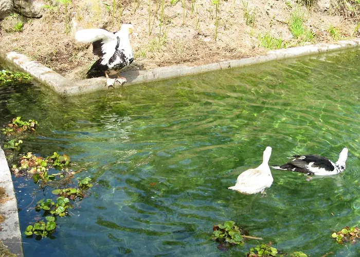 بيت للعطل Quinta Souto Da Ordem - House Castelo Novo