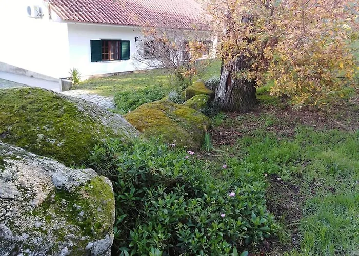 Quinta Souto Da Ordem - House Nyaraló