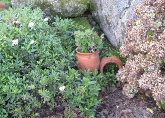 Quinta Souto Da Ordem - House بيت للعطل *