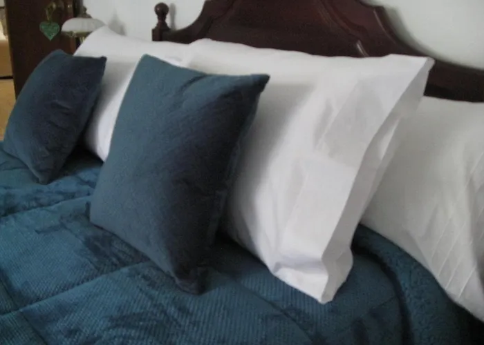 Quinta Souto Da Ordem - House Castelo Novo