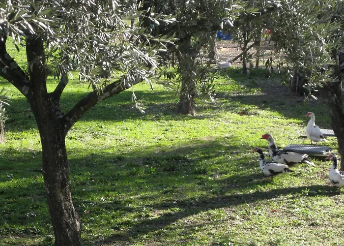 Quinta Souto Da Ordem - House Nyaraló *