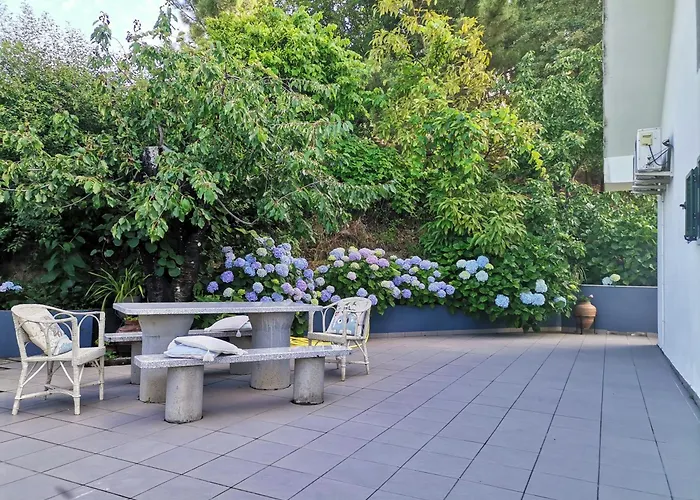 Quinta Souto Da Ordem - House بيت للعطل Castelo Novo