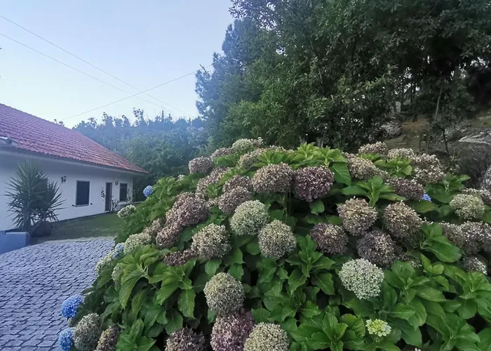 Quinta Souto Da Ordem - House * Castelo Novo